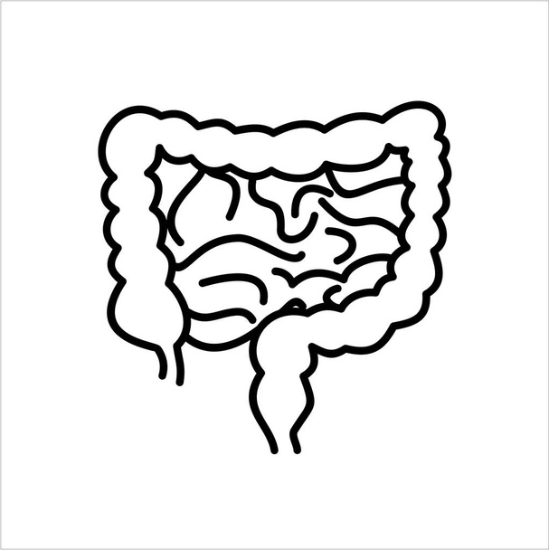 intestines simply vector illustration   - Vector, Image