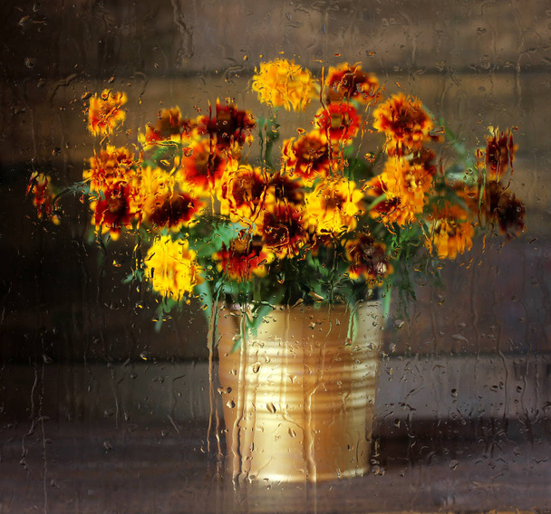 Blurred bouquet of autumn flowers behind the glass with raindrops. Autumn still-life. Selective focus. - 写真・画像
