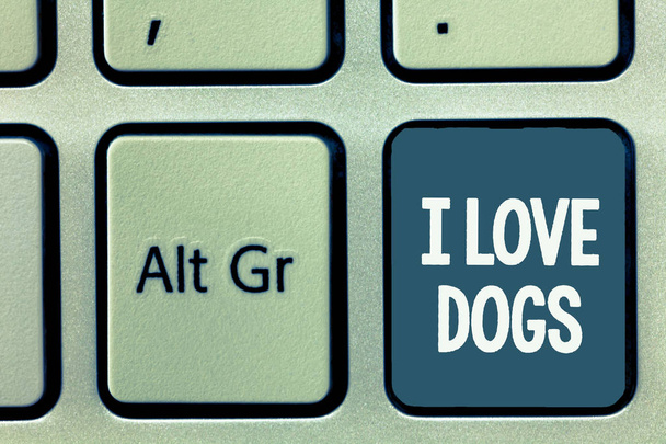 Ecriture conceptuelle montrant I Love Dogs. Photo d'affaires montrant Ayez de bons sentiments envers les canines Pour aimer les animaux de compagnie
 - Photo, image