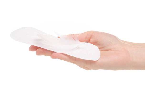 Sanitary pads menstruation white feather in hand - Photo, Image