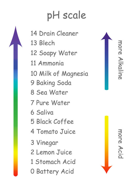 Skala pH z nazwy produktów z różnych kwasowości. Skala jest ułożone w postaci strzałki od alkaliczny środek do kwasu - Wektor, obraz