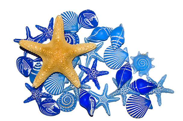 μπλε θαλάσσια όστρακα και ψάρια ένα αστέρι - Φωτογραφία, εικόνα