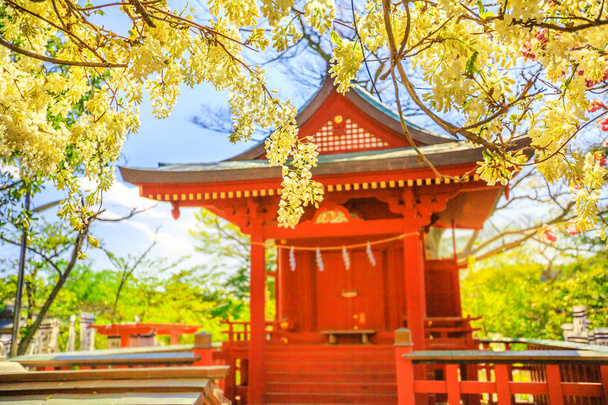 Benzaiten Shrine весна
 - Фото, зображення