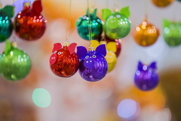 Color Christmas balls in the shape of a pig for the new year 2019. Christmas tree decoration. - 写真・画像