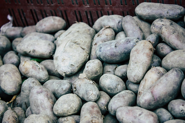 Kathmandu Nepal October 27, 2018 Closeup of potatoes sold in the market of Kathmandu in the afternoon - 写真・画像