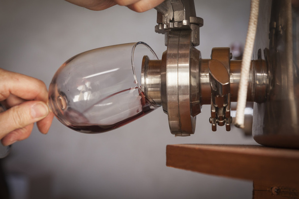 Vintner vierte el sabor del vino de barril en vidrio
 - Foto, imagen