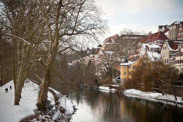 Tübingen vom Neckar aus gesehen - Foto, Bild