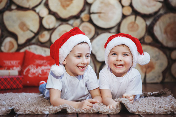 クリスマス帽子の 2 人の兄弟男の子が横たわっているとツリーのカットの背景に新年の木の近くの敷物で笑いながら. - 写真・画像