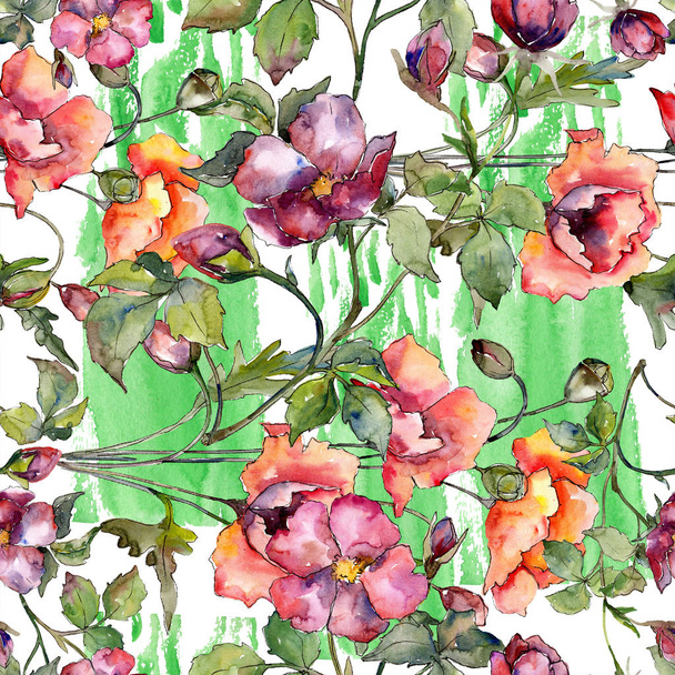 Watercolor red bouquet of poppy flower. Floral botanical flower. Seamless background pattern. - Photo, Image