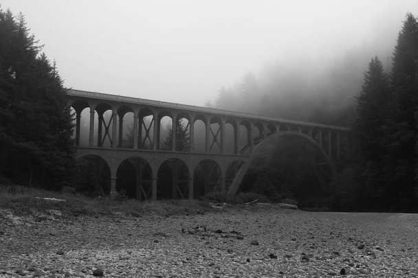 Vanha silta sumussa rannikolla Tyynenmeren musta ja valkoinen kuva
. - Valokuva, kuva