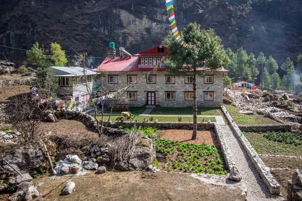 Пейзажний вид на типовому кам'яному будинку в районі гори з садами. Національний парк Сагарматха (Еверест), Непал. - Фото, зображення