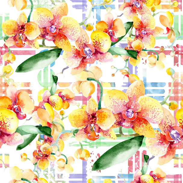 Watercolor orangr bouquet of orchid flower. Floral botanical flower. Seamless background pattern. - 写真・画像