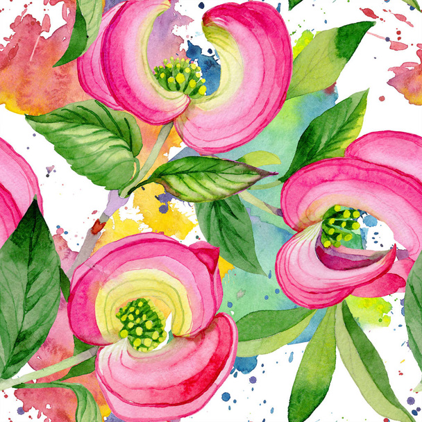 Akvarell rózsaszín cornus florida virág. Virágos botanikai virág. Varratmentes háttérben minta. - Fotó, kép