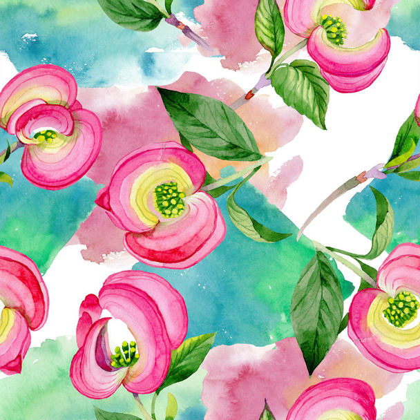 Ακουαρέλα ροζ cornus Φλώριδα λουλούδι. Floral βοτανικό λουλούδι. Απρόσκοπτη υπόβαθρο μοτίβο. - Φωτογραφία, εικόνα