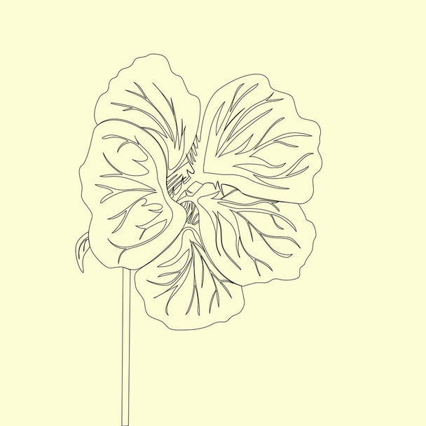 Nasturtium wild flower. Black Line drawing isolated on light yellow background. Vector floral illustration.  - Wektor, obraz