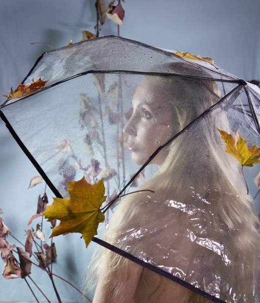 woman under a transparent umbrella with autumn leaves - Photo, image
