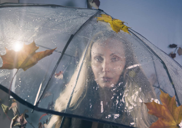 woman under a transparent umbrella with autumn leaves - 写真・画像