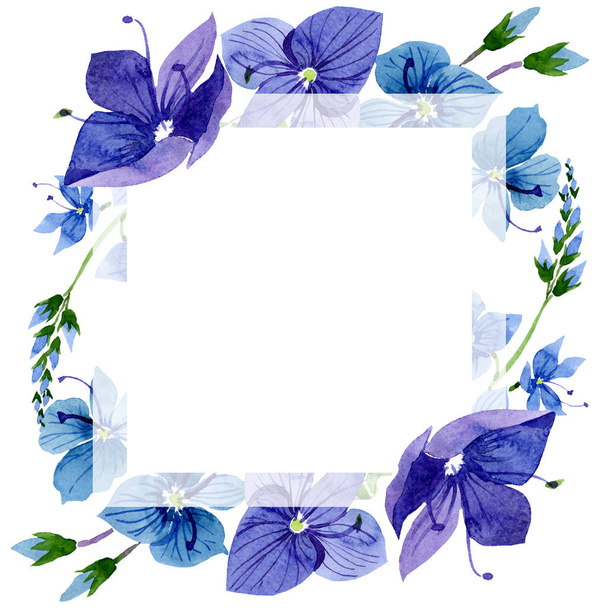 Acuarela flor Verónica azul. Flor botánica floral. Marco borde ornamento cuadrado
. - Foto, imagen