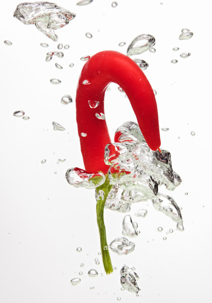 Chilli pepper falling in water on white - Photo, Image