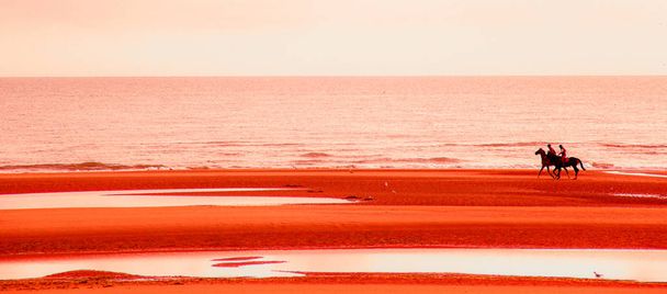 Gün batımında sahilde binicilik - Fotoğraf, Görsel