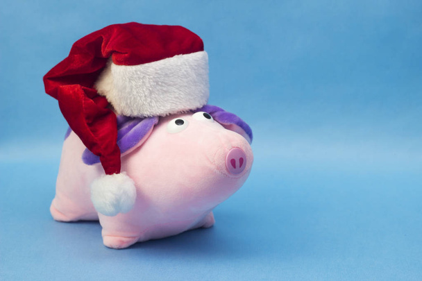 New Year pink pig in a red Santa Claus hat on a blue background, close-up, soft toy, New Year of the Pig 2019, Christmas, copy space - Foto, immagini