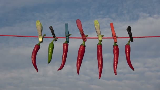 hängen Trocknen frische rote Chilischoten auf Schnur mit Wäscheklammern auf Himmelshintergrund - Filmmaterial, Video
