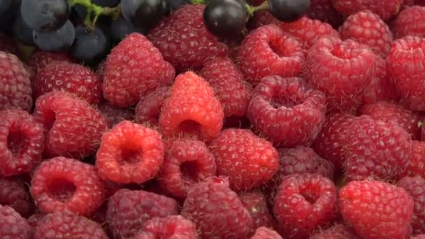 Rotating fresh raspberries and grapes food background - Footage, Video