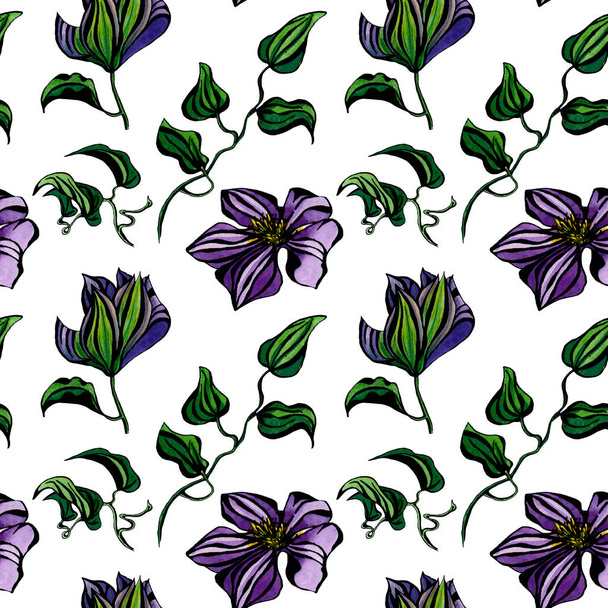 Watercolor seamless pattern with Clematis flowers and leaves isolated on white background. Design element for textile, fabric, wallpaper, - Photo, image