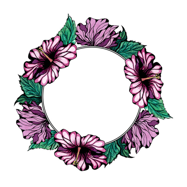 Графический круглый рамка гибискус цветок в цвете изолированы на белом фоне. Ручная чернила и акварель
. - Фото, изображение