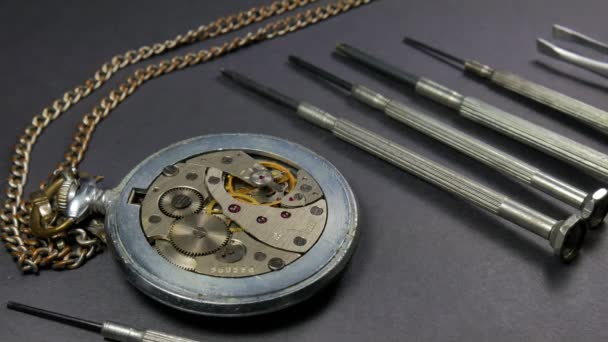 Reparación mecánica de relojes. Proceso de reparación de una pieza en un reloj mecánico
 - Metraje, vídeo