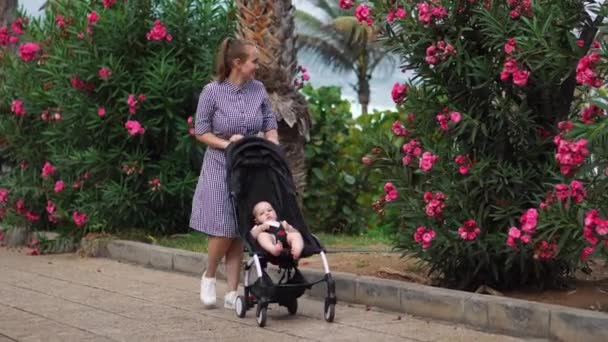 Longitud completa de la mujer joven que mira en carro del bebé en el parque
 - Metraje, vídeo