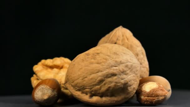 Vlašské ořechy konec lískových ořechů v rotaci na černém pozadí - Záběry, video