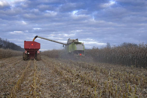 Mais-Erntemaschine und Traktor im Mais - Foto, Bild
