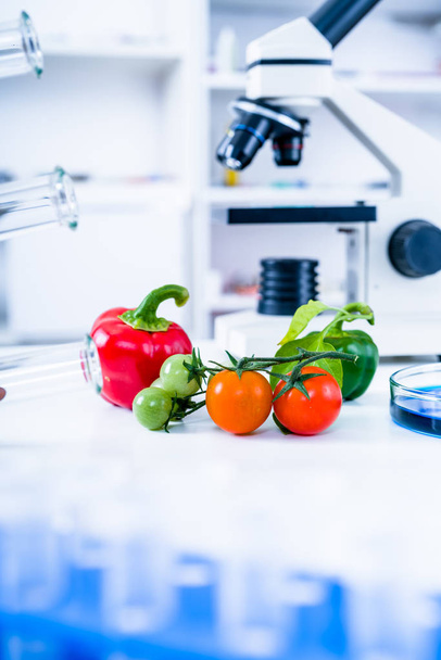 Chemical Laboratory of the Food supply . Food in laboratory, dna modify .GMO Genetically modified food in lab  - Фото, зображення