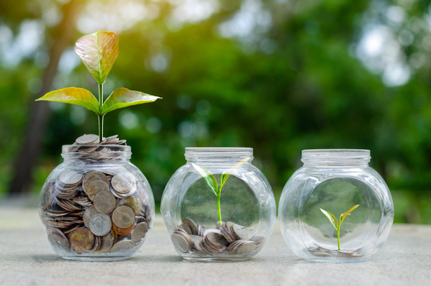 Mince ve stromu sklo Jar rostlina rostoucí z mince mimo skleněné nádoby na rozmazané pozadí přírodní zelené peníze úspory a investice finanční koncept - Fotografie, Obrázek