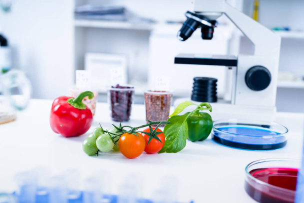 Chemical Laboratory of the Food supply . Food in laboratory, dna modify .GMO Genetically modified food in lab . - Фото, зображення