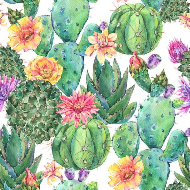 Exotic natural vintage watercolor blooming cactus seamless patte - Foto, Imagen