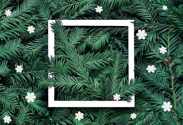 Creative background of pine branch with white paper frame and stars. New Year and Merry Christmas Concept. Flat Lay. - Photo, image