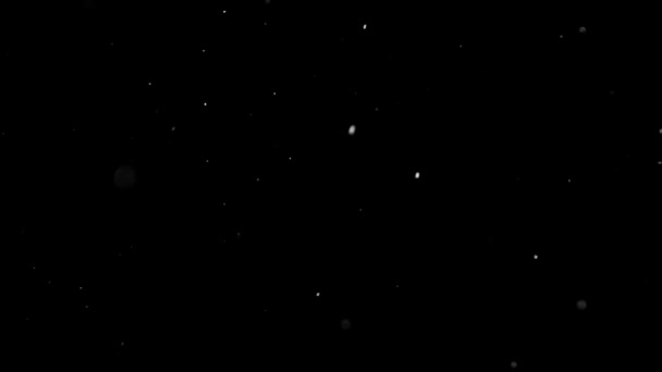 White Snow Falling on Isolated Black Background - Footage, Video