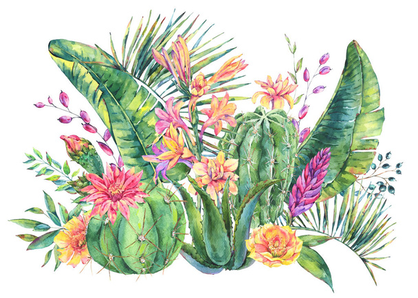 Exotic natural vintage watercolor blooming cactus greeting card. - Foto, immagini