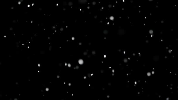 孤立した黒の背景に白い雪が降る - 映像、動画
