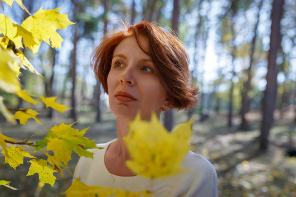 Lány, barna haja juhar ágak sárga levelek közelében áll, és elgondolkozva néz a távolba - Fotó, kép