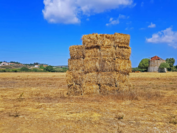 Balíky sena v polích na venkově z Portugalska - Fotografie, Obrázek