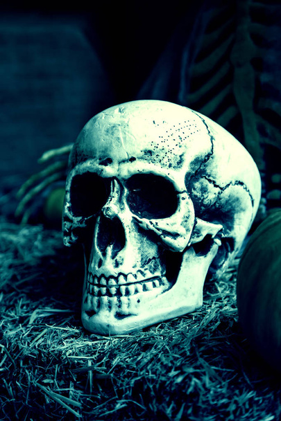 Crânes d'Halloween effrayants, décoration de mort monstrueuse
 - Photo, image