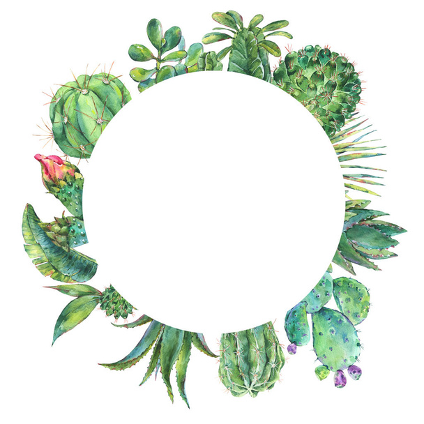 Exotic natural vintage watercolor cactus round frame. - Photo, image