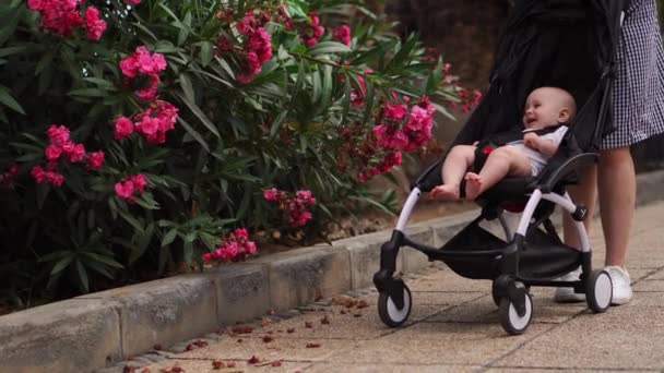 Visão traseira da jovem mãe sentada na praia com carrinho de bebê
 - Filmagem, Vídeo