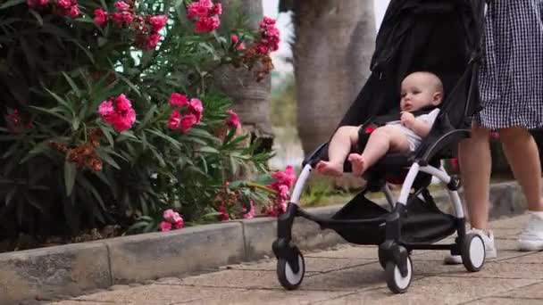 Genç anne bebek arabası ile plajda otururken arka görünümü - Video, Çekim