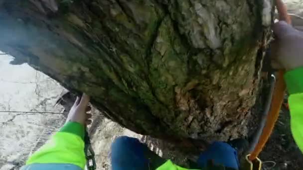 arborista sobe um tronco de árvore pov
 - Filmagem, Vídeo
