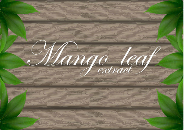 Mango leaves background for banner, celebration, holiday, packaging, poster.  Mango leaves on wood background. Realistic 3d leaf vector illustration.  - Vector, Image