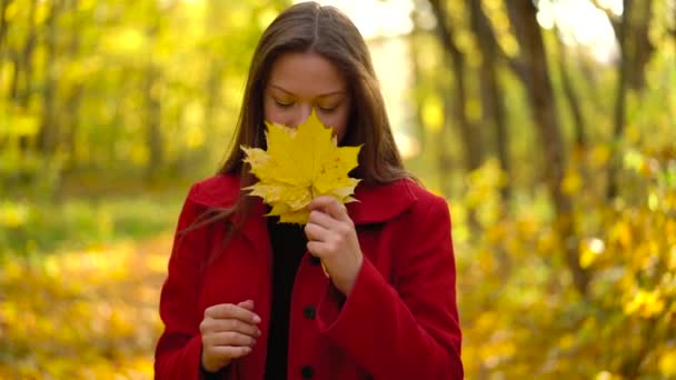 Piękna dziewczyna spacery w lesie jesienią i cieszy się dobrą pogodę. Zwolnionym tempie - Materiał filmowy, wideo